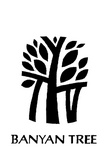 BANYAN TREE