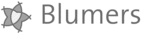 BLUMERS