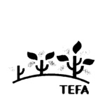 TEFA