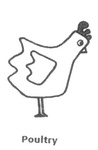 POULTRY