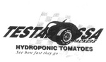 TESTAROSSA PACKERS HYDROPONIC TOMATOES SEE HOW FAST THEY GO