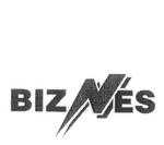 BIZNES