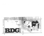 BDG SHOES