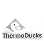 THERMODUCKS