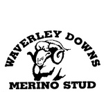 WAVERLEY DOWNS MERINO STUD