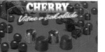 CHERRY VISNE V COKOLADE