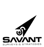 S SAVANT SURVEYS & STRATEGIES