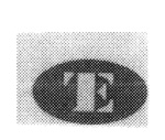 TE