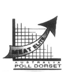 MEAT ELITE AUSTRALIA POLL DORSET