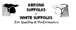 ABRONA SUFFOLKS & WHITE SUFFOLKS FOR QUALITY & PERFORMANCE