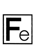FE