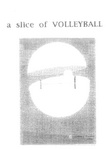 A SLICE OF VOLLEYBALL