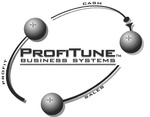 PROFITUNE BUSINESS SYSTEMS SALES PROFIT CASH