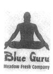 BLUE GURU MEADOW FRESH COMPANY