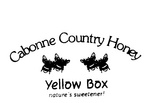 CABONNE COUNTRY HONEY YELLOW BOX NATURE'S SWEETENER!