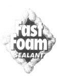 FAST FOAM SEALANT
