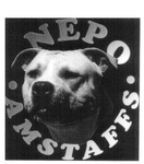NEPO AMSTAFFS