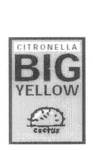 CITRONELLA BIG YELLOW CACTUS