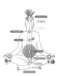 KUNDALINI MOOLADHARA SWADHISTAN NABHI HEART VISHUDDHI AGNYA SAHASRARA PINGALA NADHI SUSHUMNA NADHI IDA NADHI
