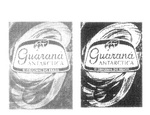 G  GUARANA ANTARCTICA O ORIGINAL DO BRASIL