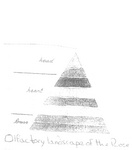 OLFACTORY LANDSCAPE OF THE ROSE HEAD HEART BASE