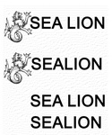 SEA LION ; SEALION