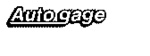 AUTO GAGE