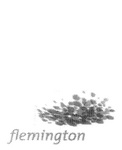 FLEMINGTON