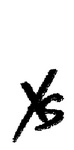 XS