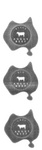 BLACK ANGUS BEEF ; RED ANGUS BEEF ; GREY ANGUS BEEF