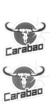 CARABAO