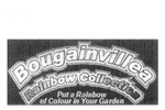 BOUGAINVILLEA RAINBOW COLLECTION PUT A RAINBOW OF COLOUR IN YOUR GARDEN