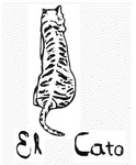 EL CATO