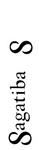 SAGATIBA S