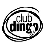 CLUB DINGO