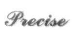 PRECISE