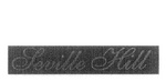 SEVILLE HILL