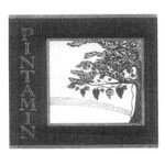 PINTAMIN