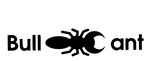 BULL ANT
