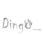 DINGO AUSTRALIA